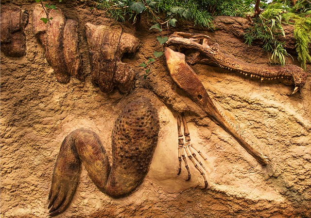 vytvořené fosilie