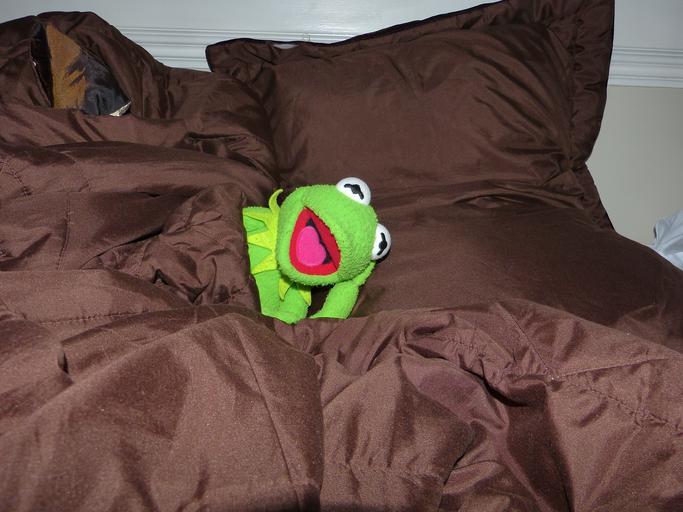 Plyšová hračka, žaba v posteli, Kermit